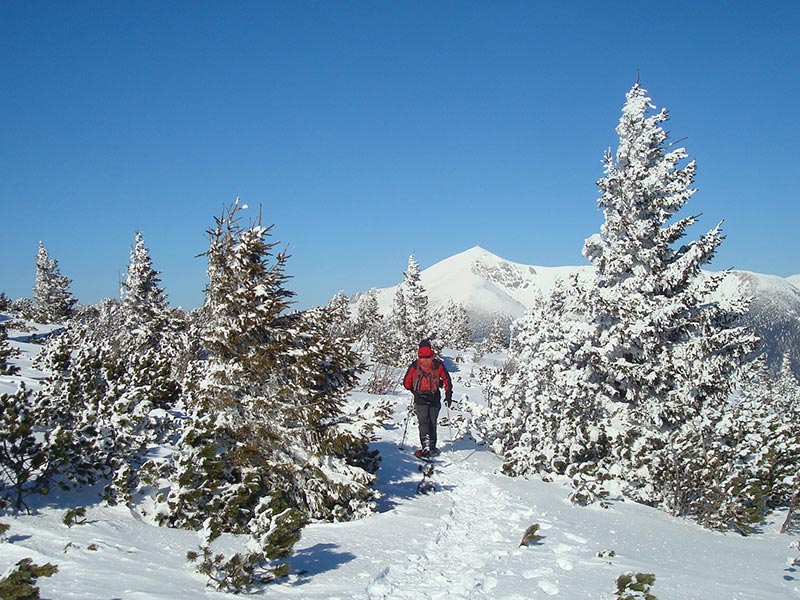 gruenschacher